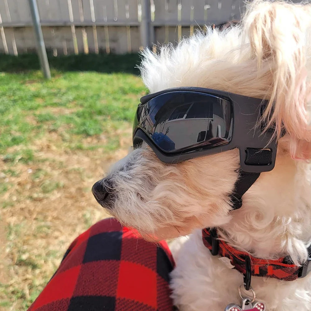Novexa™ Pet Sunglasses – Adjustable Outdoor Goggles for Dogs & Cats 🐾