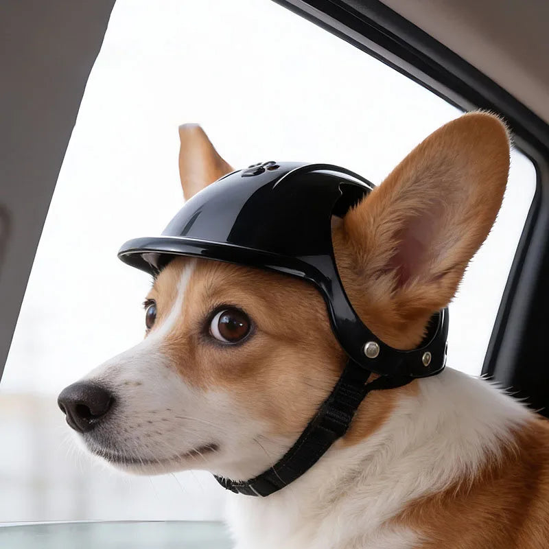 Novexa™ Pet Motorcycle Helmet – Funny & Stylish Headwear for Small and Medium Dogs & Cats 🐶🏍️🐱