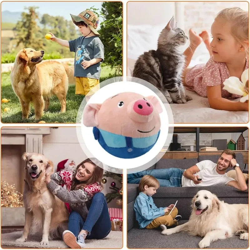 NovexA™ Electronic Pet Ball – Bouncing, Moving & Interactive
