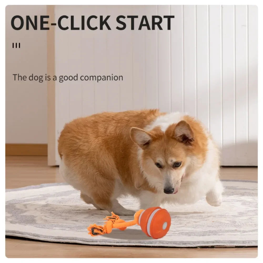 NovexA™ Interactive Rolling Dog Ball – Automatic & Rechargeable