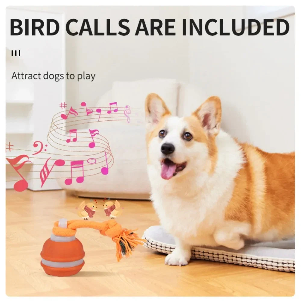 NovexA™ Interactive Rolling Dog Ball – Automatic & Rechargeable