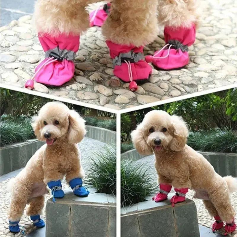 NovexA™ PawProtect – Waterproof Anti-Slip Boots for Dogs & Cats (4-Piece Set)