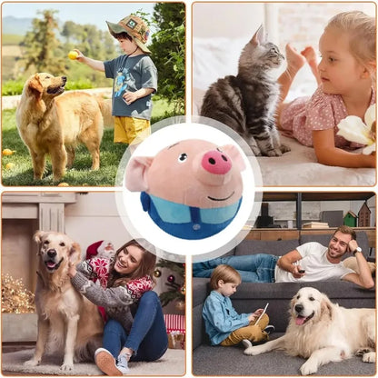 NovexA™ Electronic Pet Ball – Bouncing, Moving & Interactive
