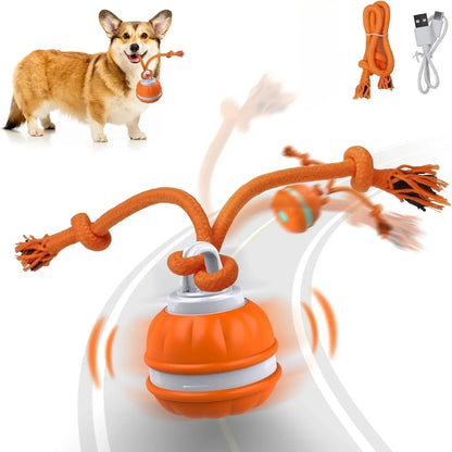 NovexA™ Interactive Rolling Dog Ball – Automatic & Rechargeable