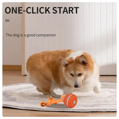 NovexA™ Interactive Rolling Dog Ball – Automatic & Rechargeable