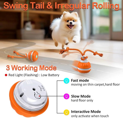 NovexA™ Interactive Rolling Dog Ball – Automatic & Rechargeable