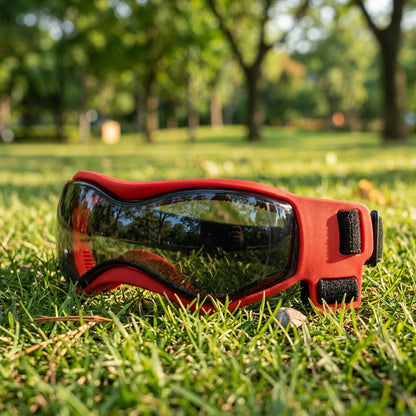 Novexa™ Pet Sunglasses – Adjustable Outdoor Goggles for Dogs & Cats 🐾