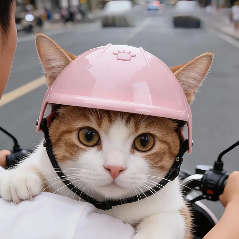 Novexa™ Pet Motorcycle Helmet – Funny & Stylish Headwear for Small and Medium Dogs & Cats 🐶🏍️🐱